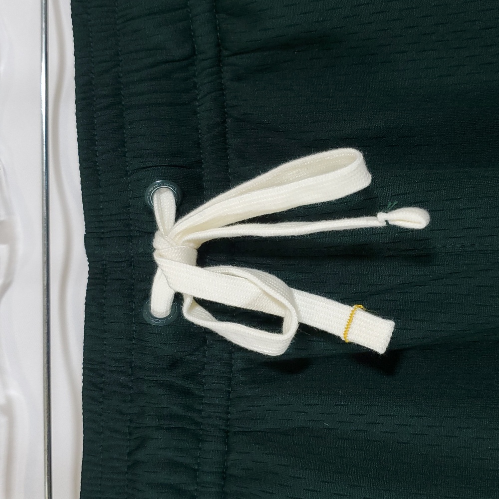 Champion Men's University Taped Mesh Shorts ~ Pine Grove green. - Picture 3 of 12